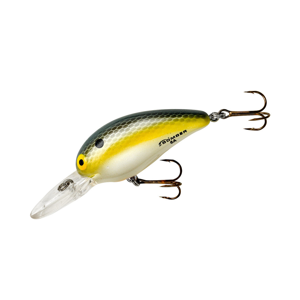 BOMBER Model A 4-6 FT BMB05A