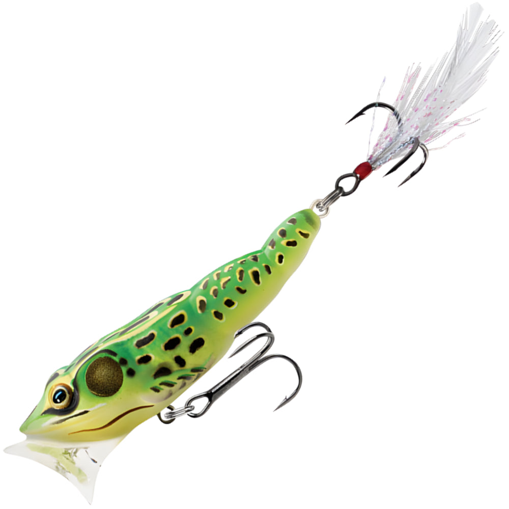 LIVE TARGET Frog Popper 3" FGP75T