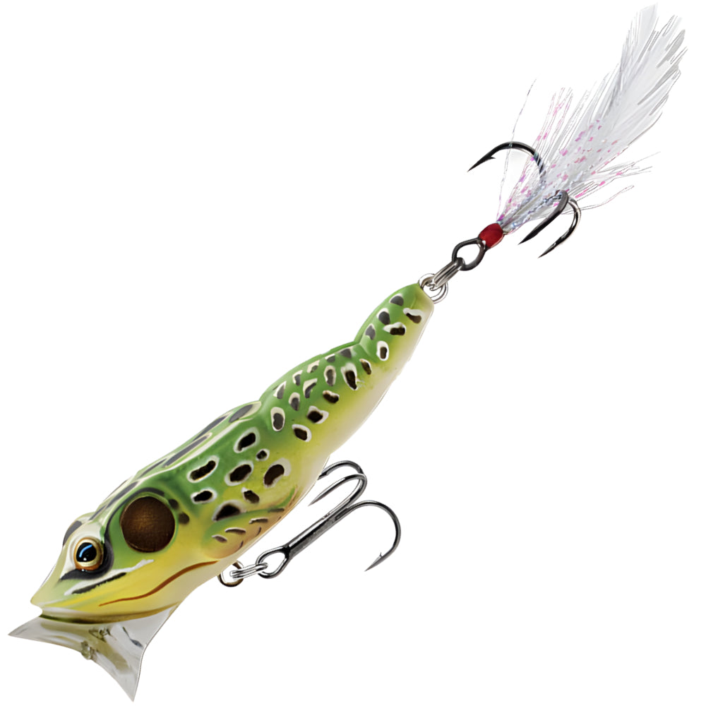 LIVE TARGET Frog Popper 3" FGP75T