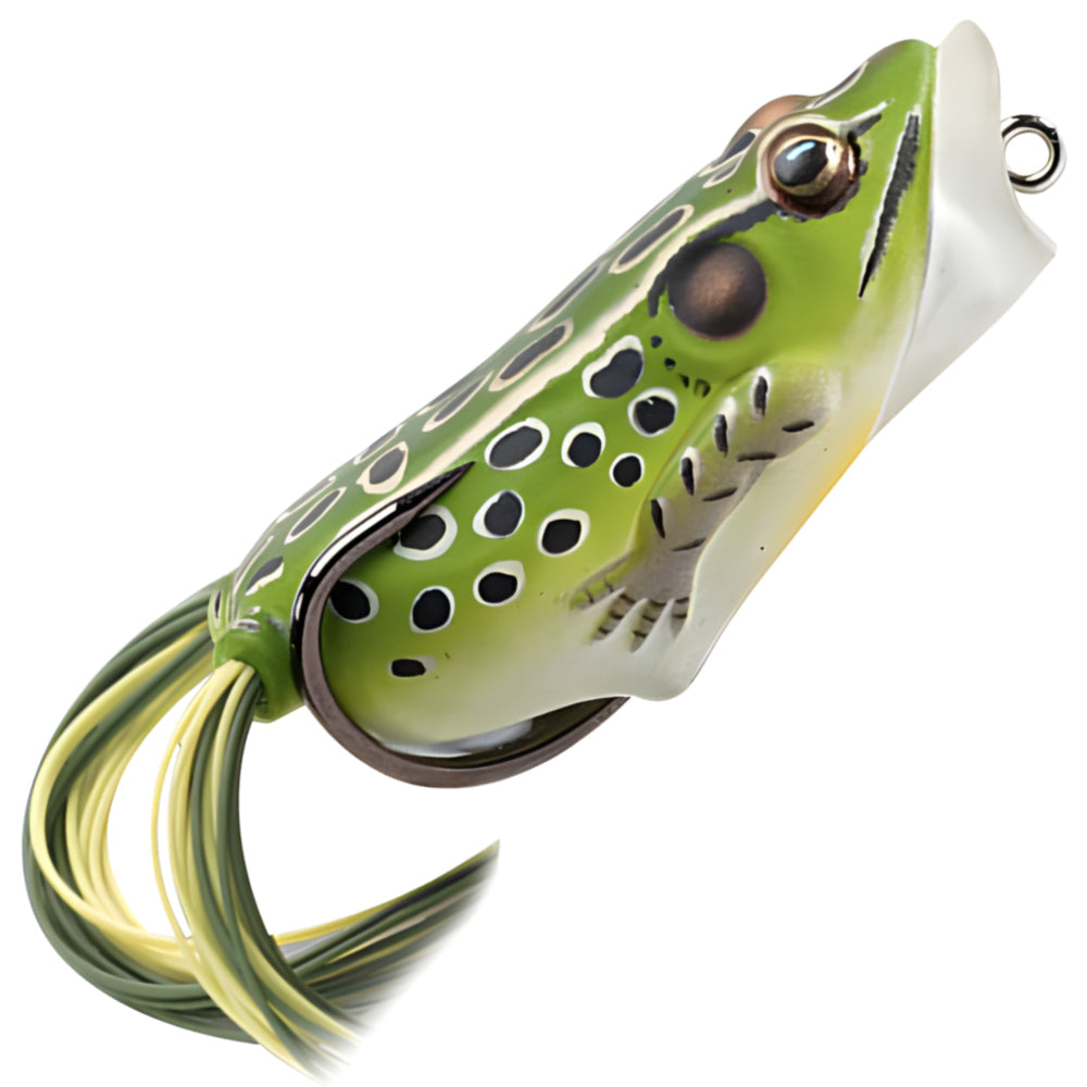 LIVE TARGET Hollow Body Frog Popper 2.5" FHP65T
