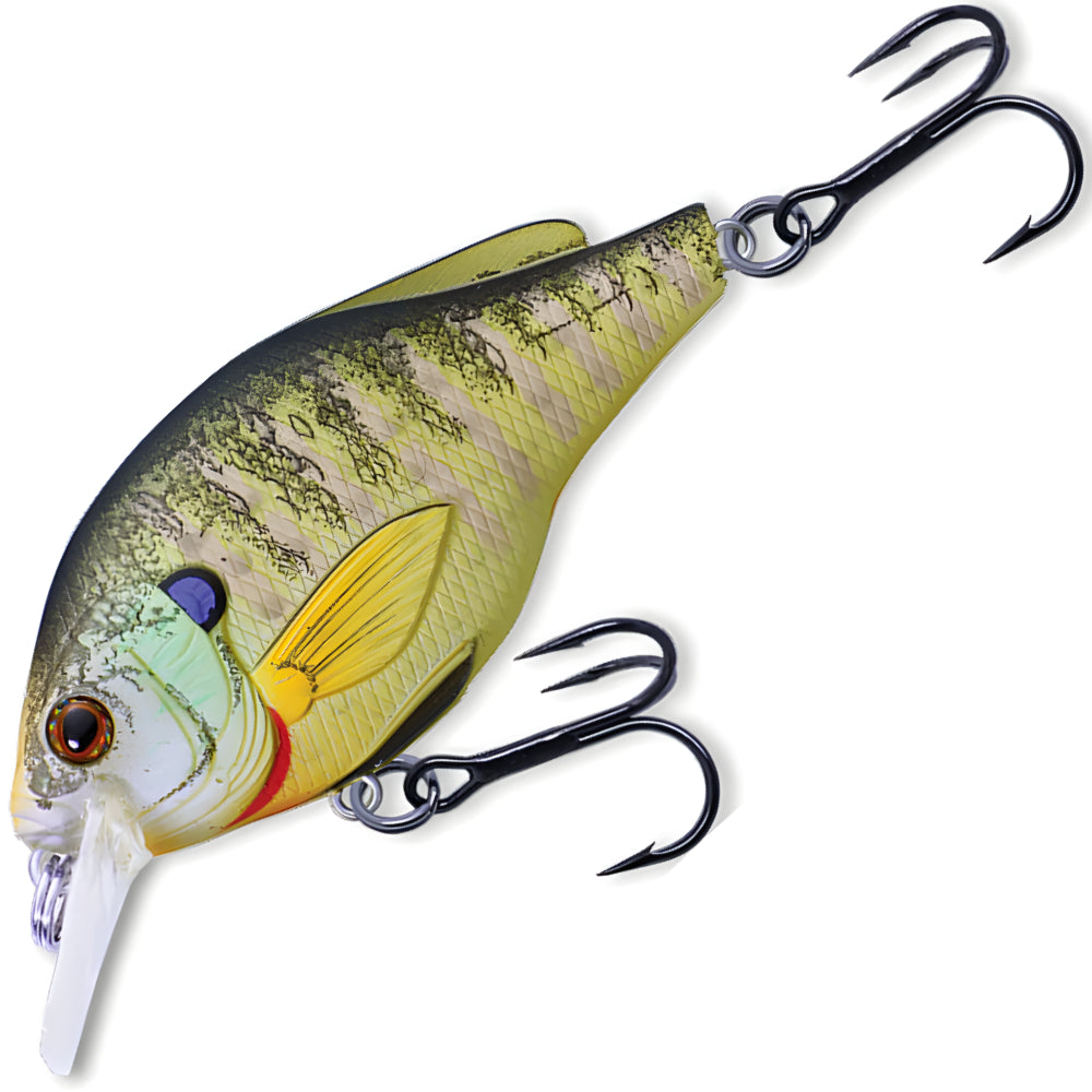 LIVE TARGET Sunfish Flat-Side Squarebill Crankbait 3-4 FT PSS70S