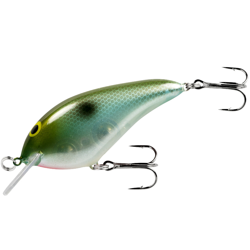 NORMAN Speed N 4-6 FT NMSN