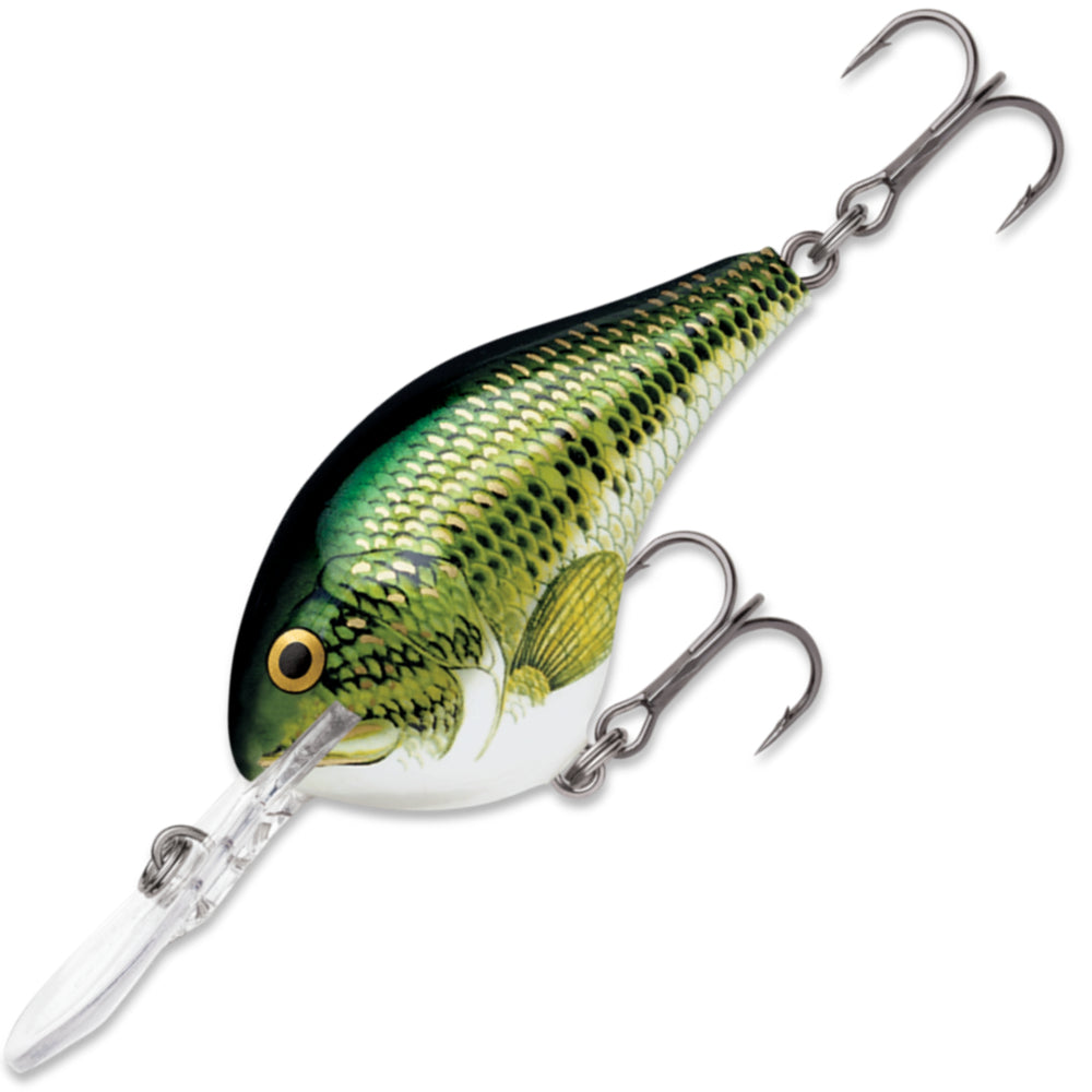 RAPALA DT Dives To 8 FT DT08