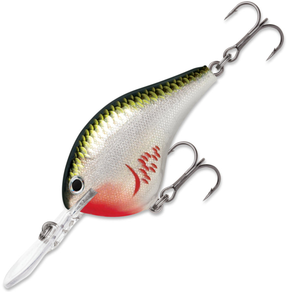 RAPALA DT Dives To 16 FT DT16