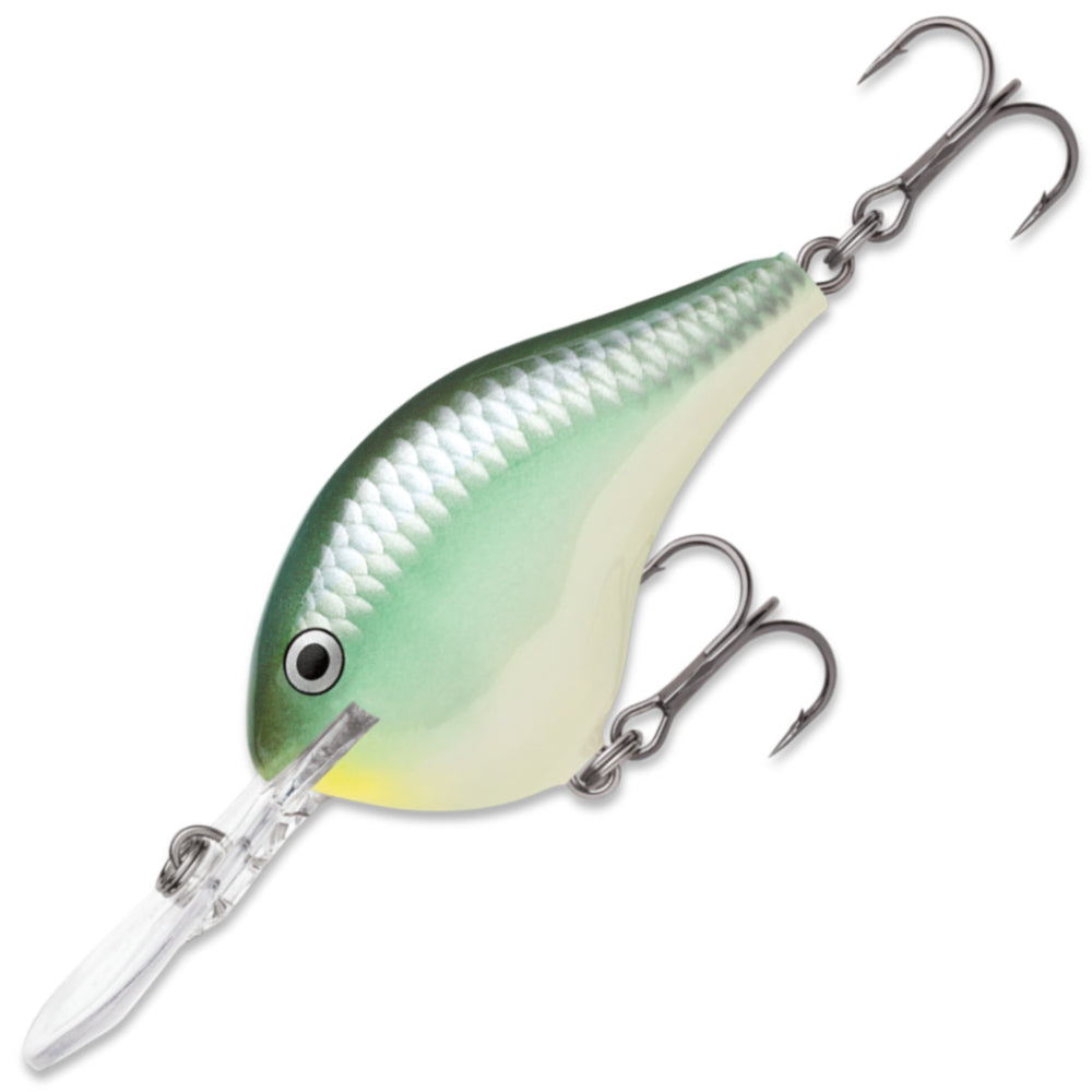 RAPALA DT Dives To 14 FT DT14