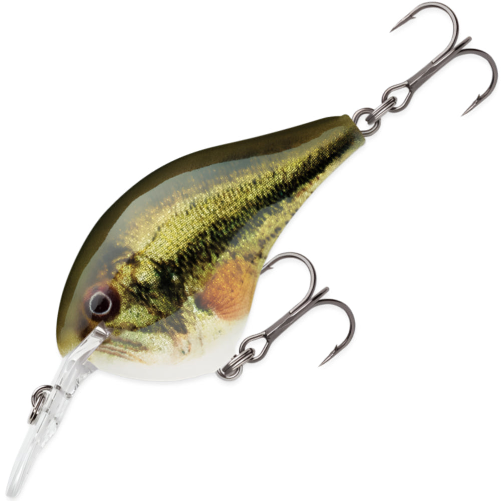 RAPALA DT Dives To 8 FT DT08