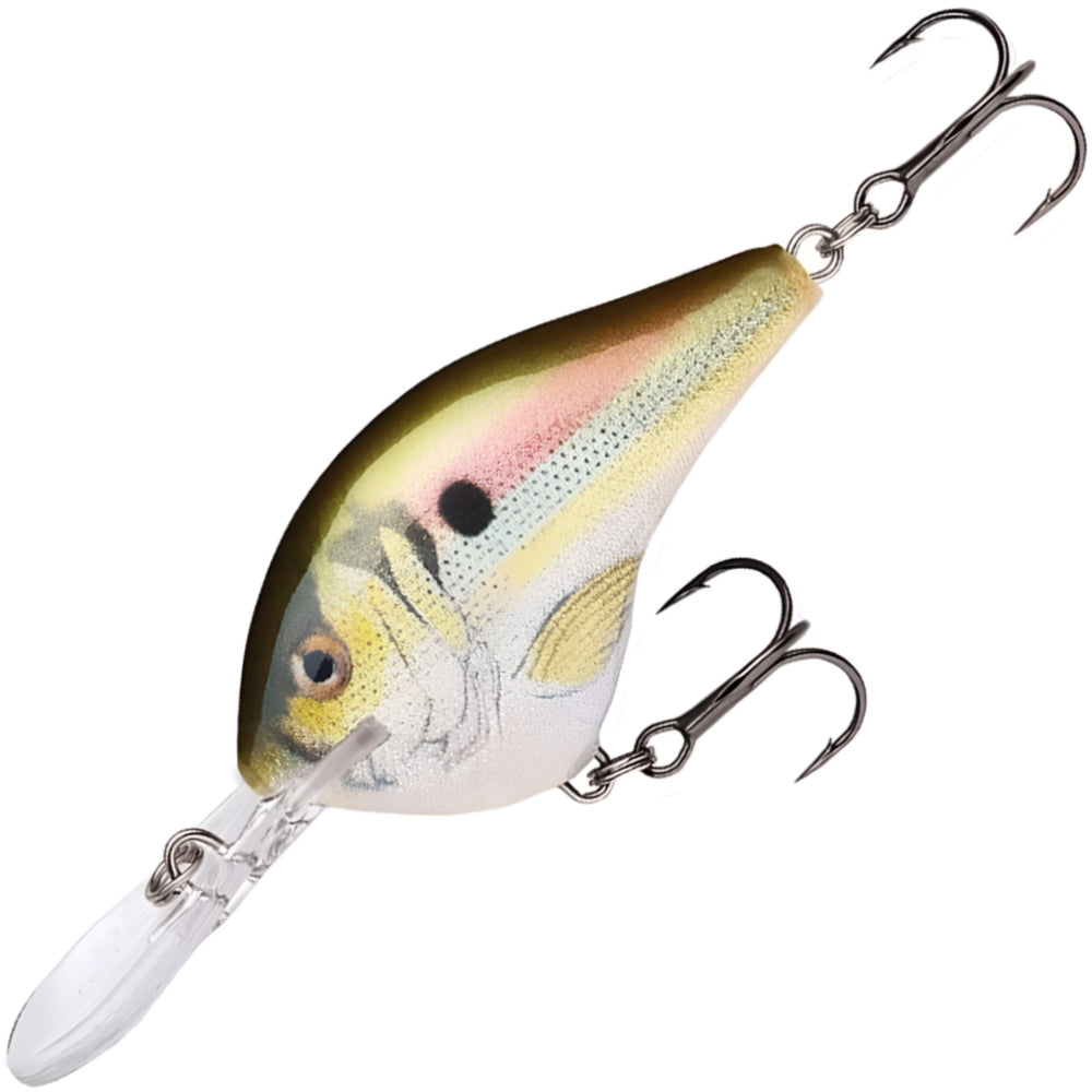 RAPALA DT Dives To 8 FT DT08