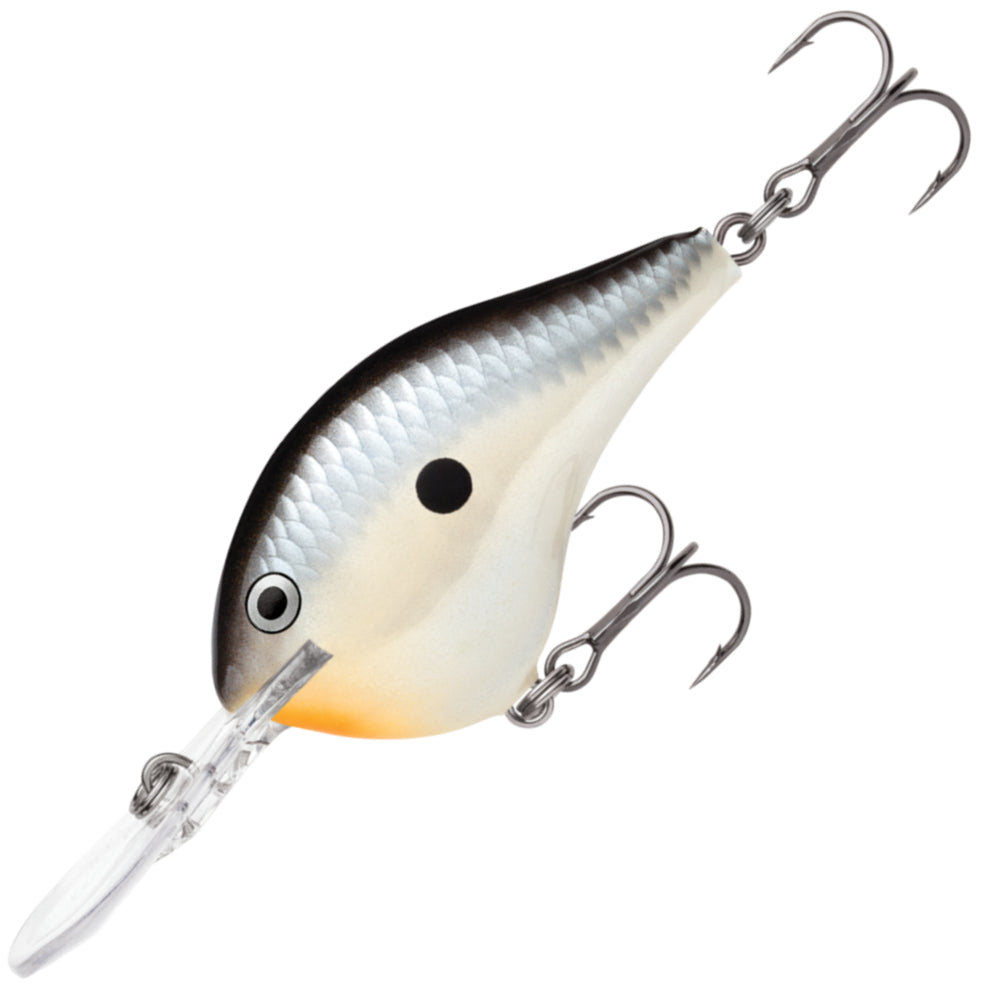RAPALA DT Dives To 16 FT DT16