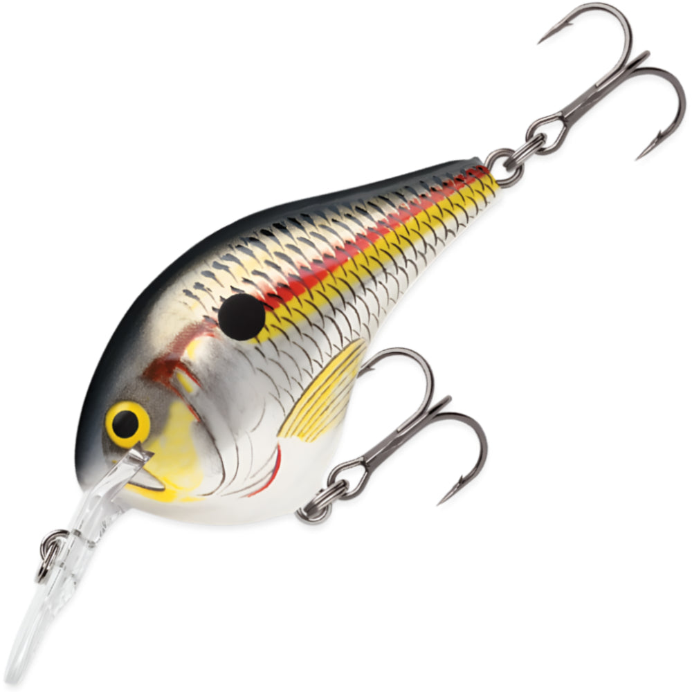 RAPALA DT Dives To 14 FT DT14