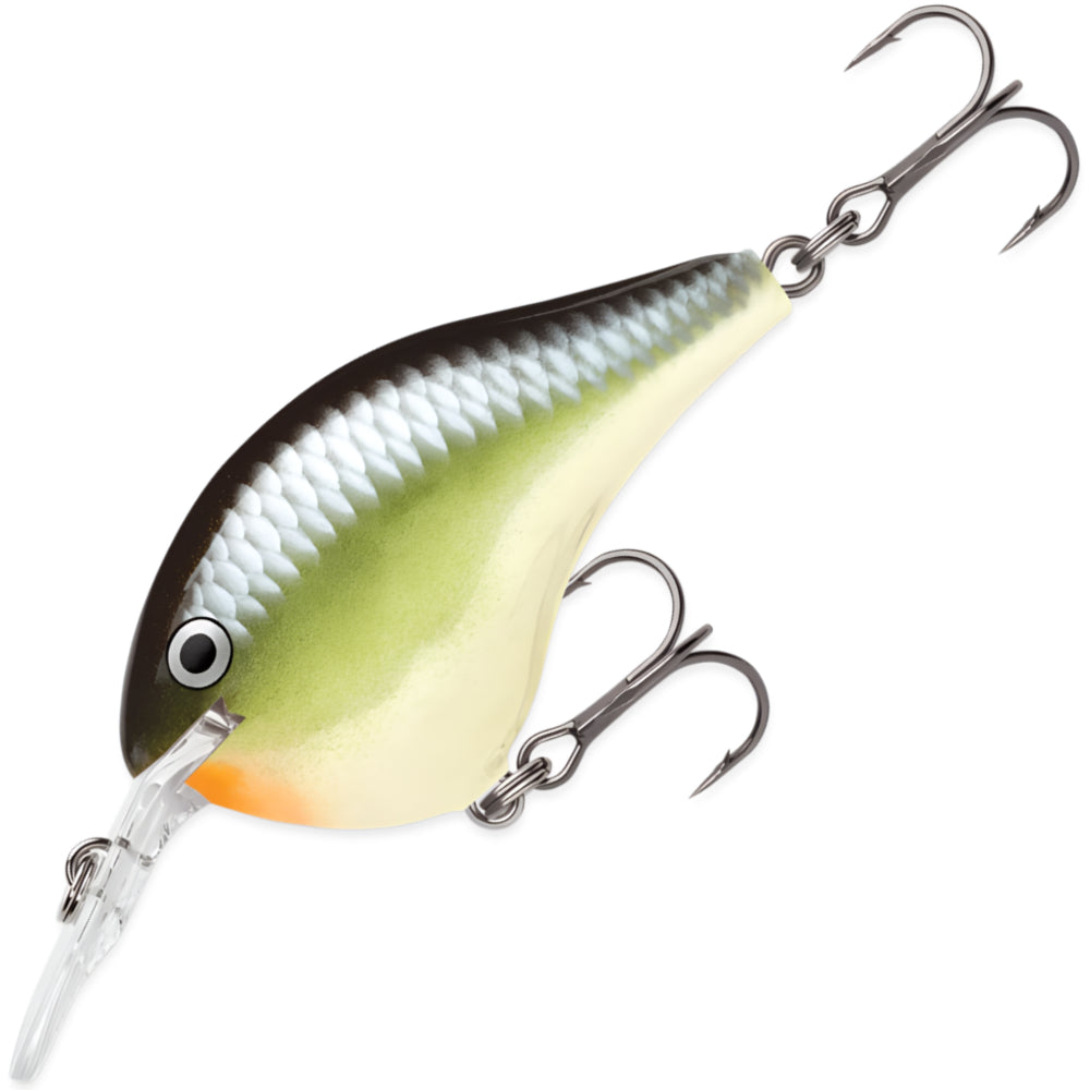 RAPALA DT Dives To 8 FT DT08