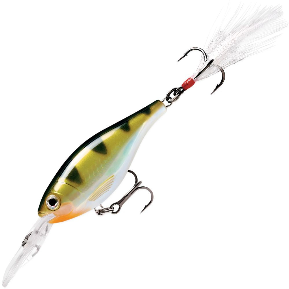 RAPALA X-RAP Shad 6-11 FT XRS06