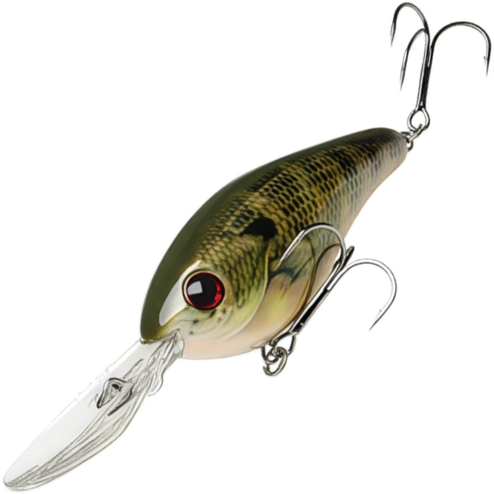 STRIKE KING Pro Model 6XD 19 FT HC6XD