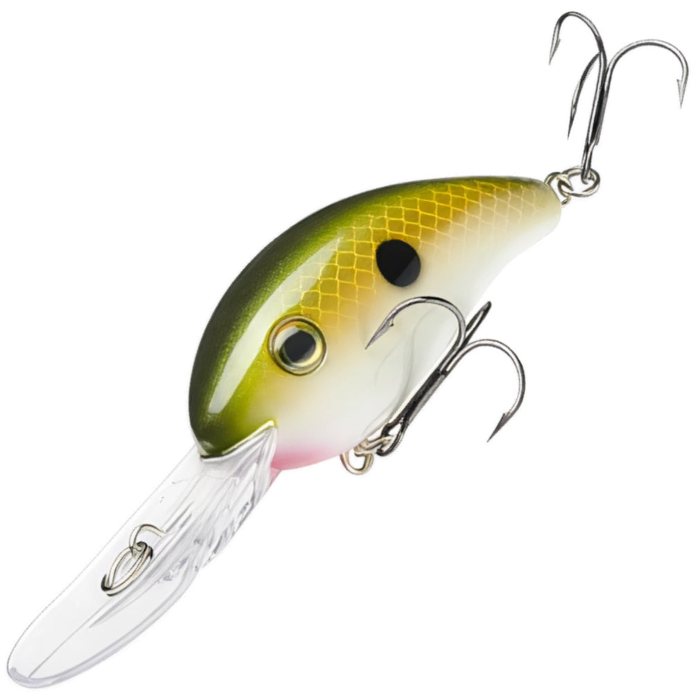 STRIKE KING Pro Model 6XD 19 FT HC6XD