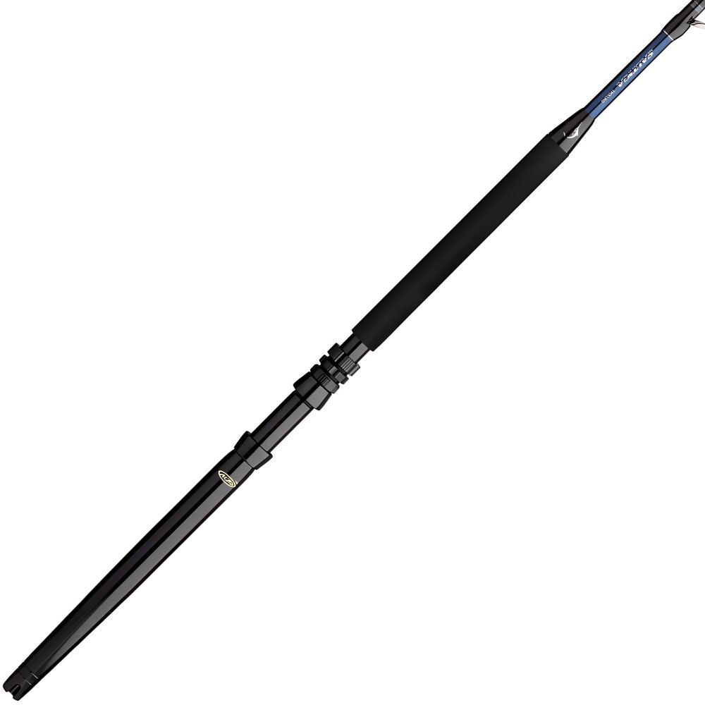 DAIWA Caña Troleo Saltiga 6'1" H F 50-100 LBS SGTR61H