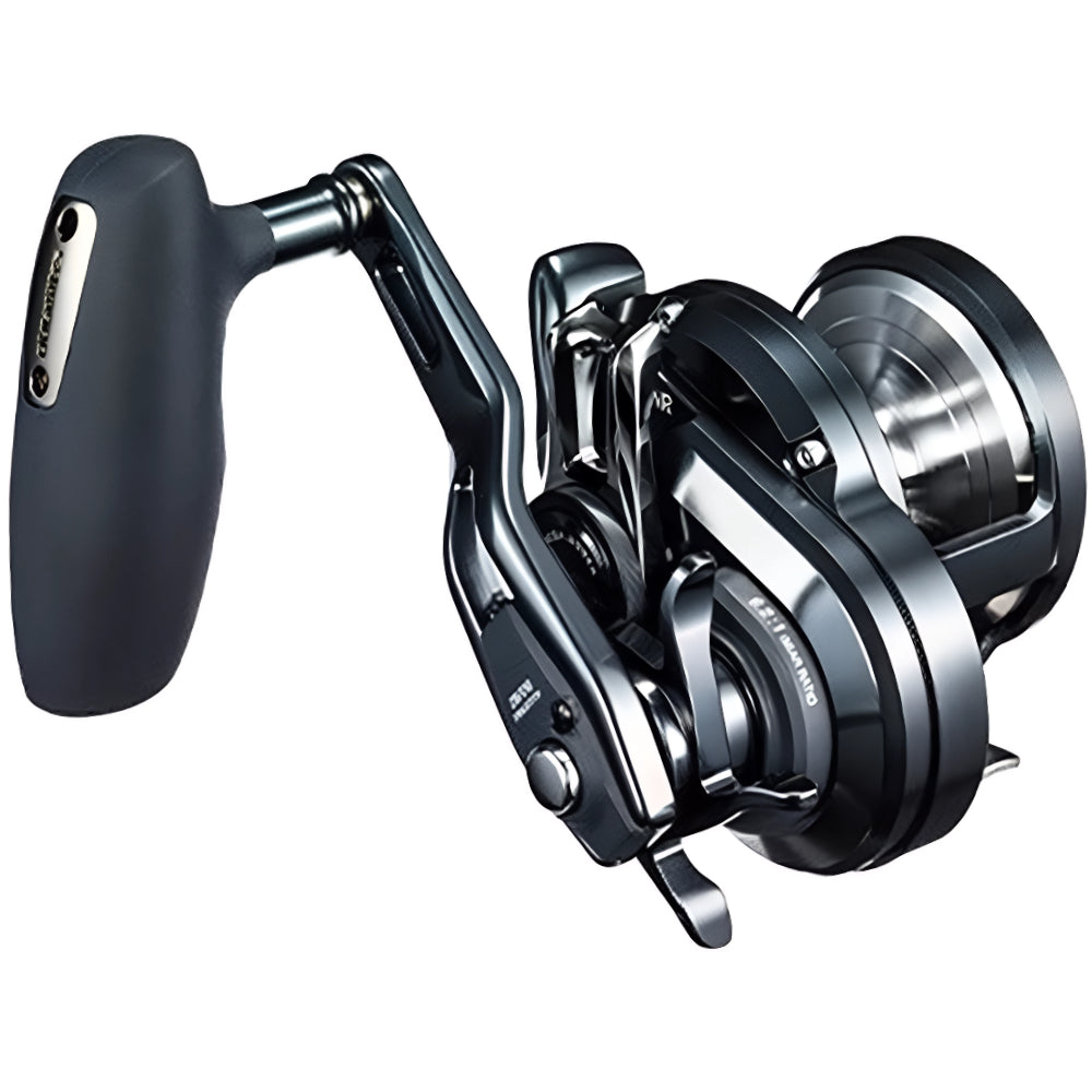 SHIMANO Carrete Ocea Jigger F Custom 2000/2001 NR HG 0400