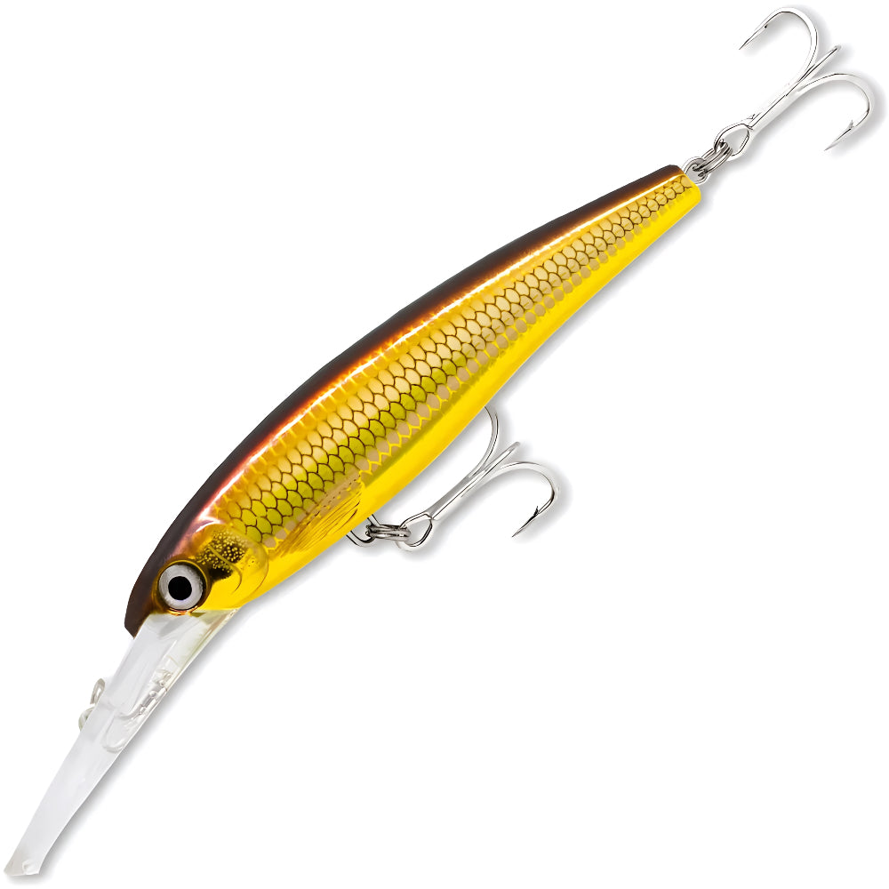 RAPALA X-Rap Saltwater 10 FT SXRD11