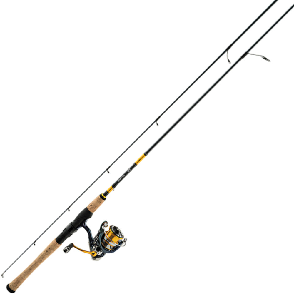 DAIWA Combo Spinning Revros LT 6'6" MF Revros LT 2500 REVLT25-4BI/G662M (2 Tramos)