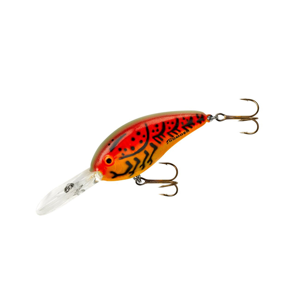 BOMBER Fat Free Shad 8-10 FT BD5F