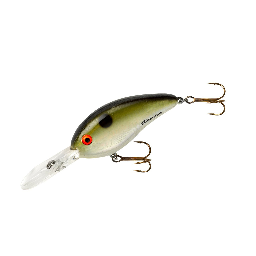 BOMBER Fat Free Shad 8-10 FT BD5F