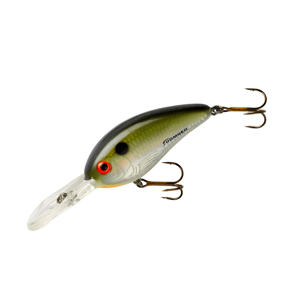 BOMBER Fat Free Shad 8-12 FT BD6F