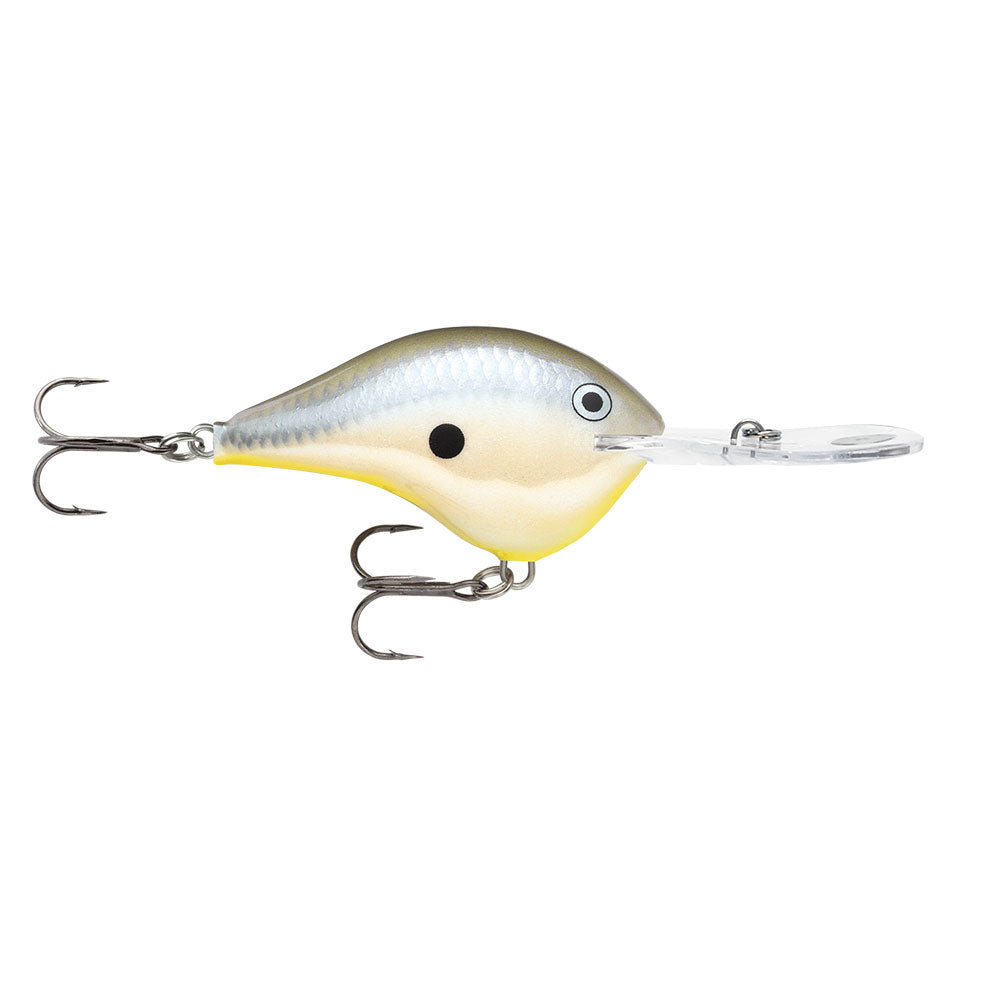 RAPALA DT Dives To 20 FT DTMSS20