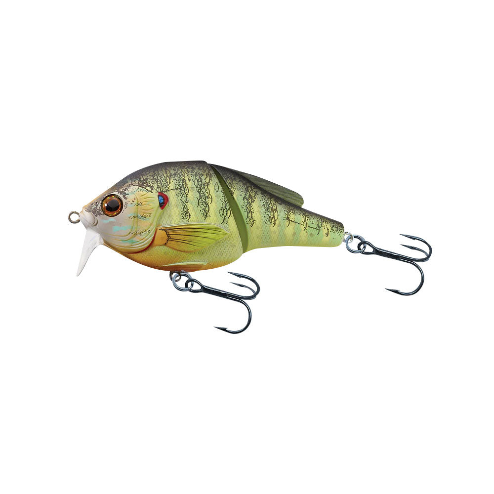 LIVE TARGET Sunfish Jointed Wakebait 0-1 FT PSW75T
